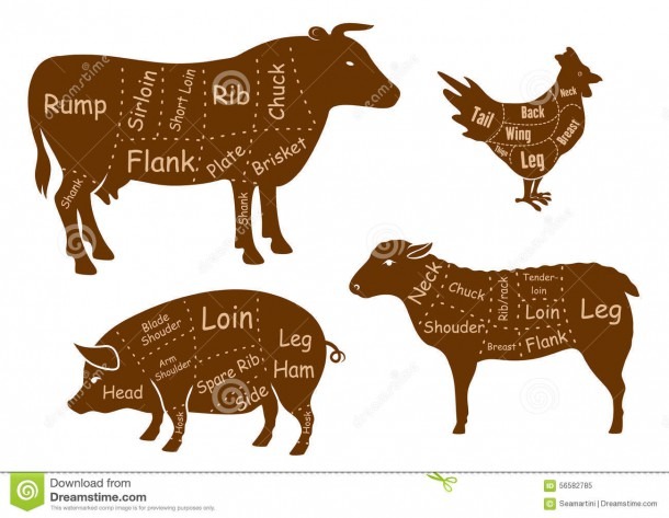Beef, Pork, Chicken And Lamb Meat Cuts Stock Vector