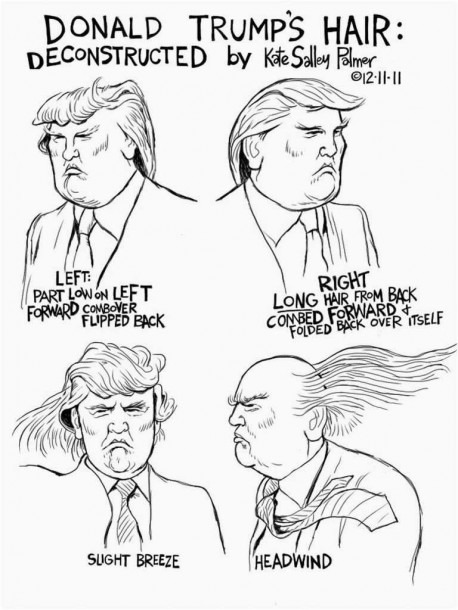 Donald Trump Hair Fresh An Illustrated History Of Donald Trump S