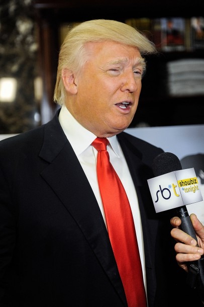 Donald Trump Hair Diagram