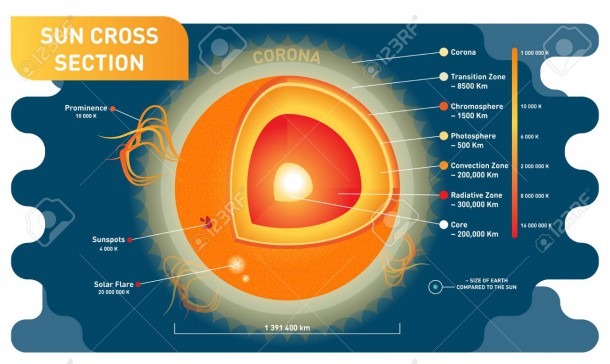 Sun Cross Section Scientific Vector Illustration Diagram With
