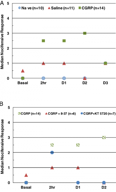 A) Intracisternal Injection Of Cgrp In Upper Cervical Spinal Cord