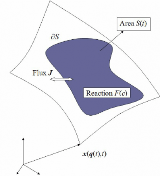 A Schematic Diagram Showing The Flux Of Matter Into, And Out Of A