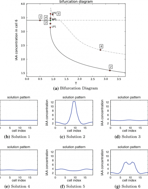 A The Bifurcation Diagram Of Example 1 (steady State Equation (9