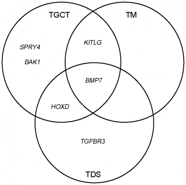 Jamestown And Plymouth Venn Diagram
