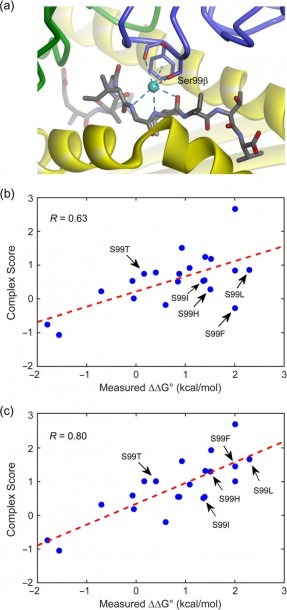 Accounting For Buried Structural Water Improves Predictions  (a) A