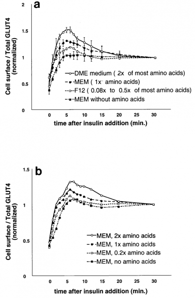 Amino Acid Concentrations Regulate The Amount Of Rapidly