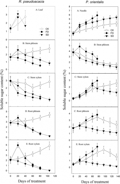 Change In Ss (soluble Sugar) Content During Drought  A