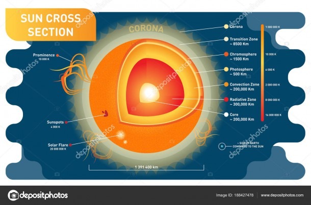 Sun Cross Section Scientific Vector Illustration Diagram With Sun
