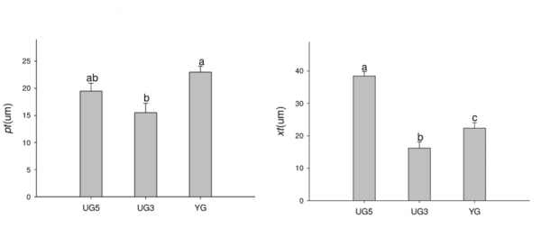 Effects Of Overgrazing And Enclosed On Phloem And Xylem