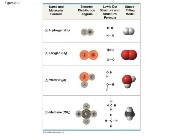 The Chemical Context Of Life
