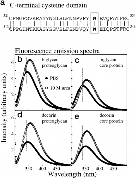 Fluorescence Emission Spectra Of Recombinant Glycoforms  A, Amino