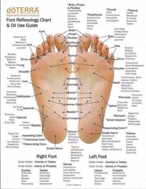 Printable Reflexology Chart