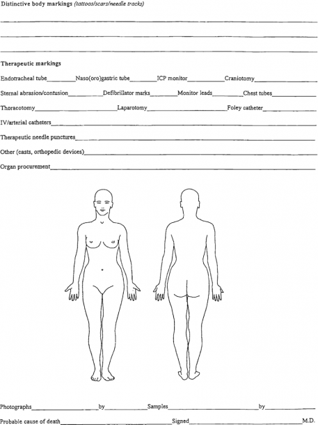 Forensic Body Chart  Courtesy Of King County Medical Examiner's