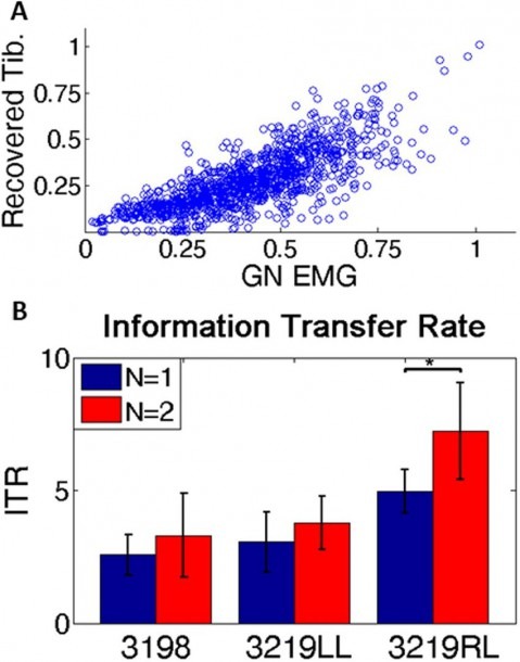 Information Calculation  (a) Scatter Plot Of Recorded Emg Vs