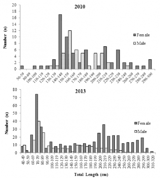 Length Distribution Of Both Female And Male Scalloped Hammerhead