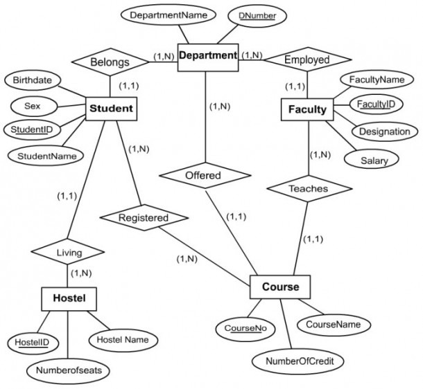 Design A Database Using An Entity Relationship Diagram For