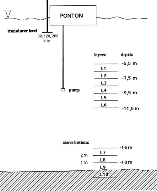 Schematic Configurations Of Acoustic Measurements On Suspended