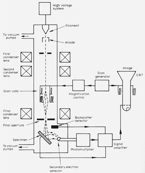 22  Schematic Drawing Of A Scanning Electron Microscope (sem