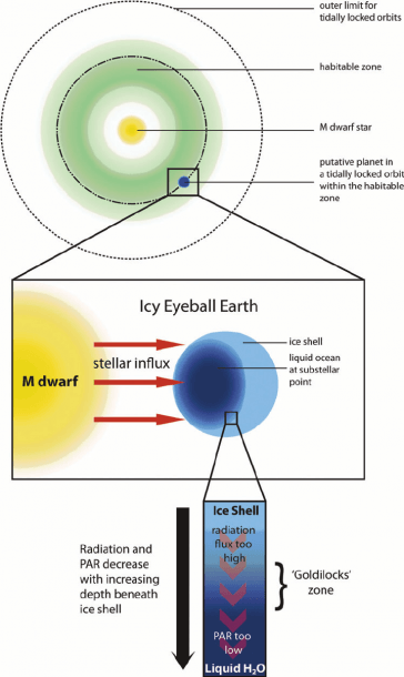 Schematic Of Idealized Icy Eyeball Earth  Top  Putative M Dwarf