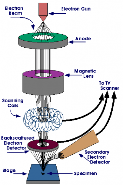 2  Shows The Basic Block Diagram Of A Scanning Electron Microscope