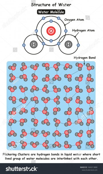 Structure Water Infographic Diagram Showing Molecule Stock