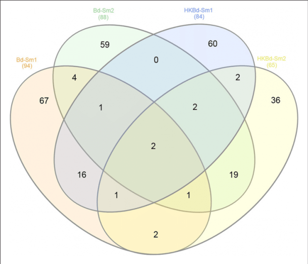 Venn Diagram Depicting Shared Significantly Expressed Degs From