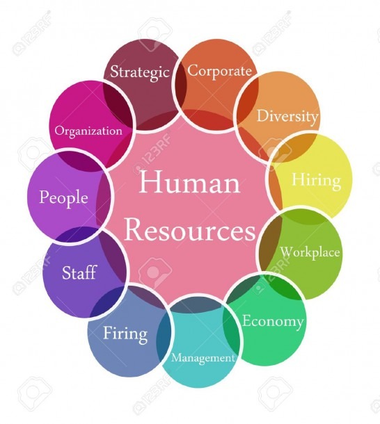 Color Diagram Illustration Of Human Resources Stock Photo, Picture
