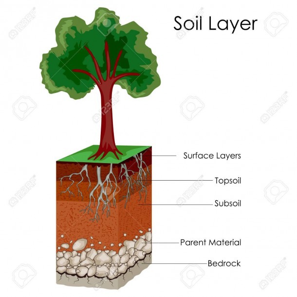 Education Chart Of Science For Layers Of Soil Diagram Royalty Free