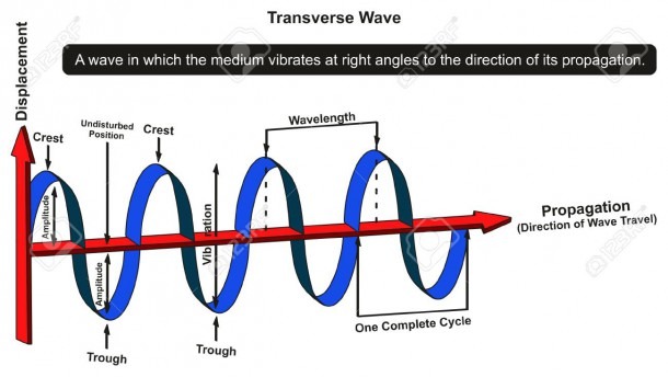 Transverse Wave Infographic Diagram Showing Structure With