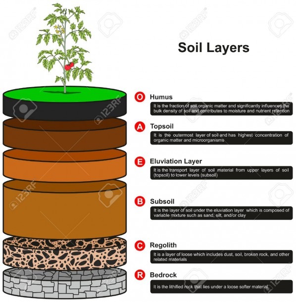 Soil Layers Diagram