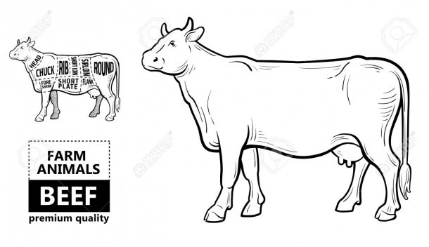 Beef Meat Part Sets For Poster Butcher Diagram On Silhouette