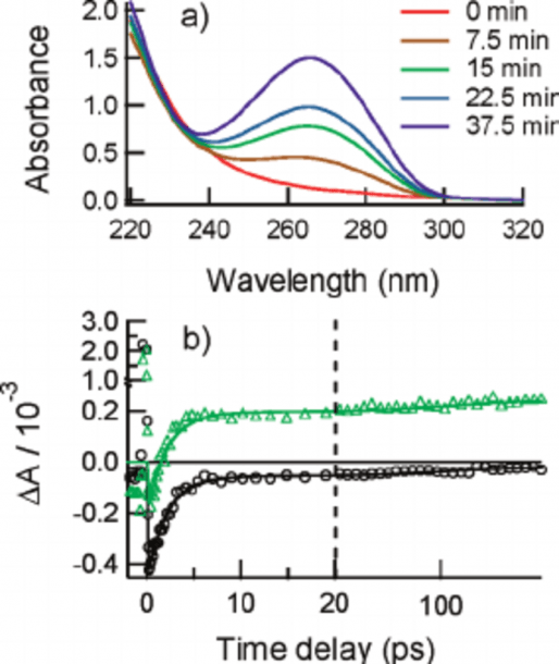 A) Uv Vis Spectra Of The Cis Ã Syn Thymine Dimer Solution After