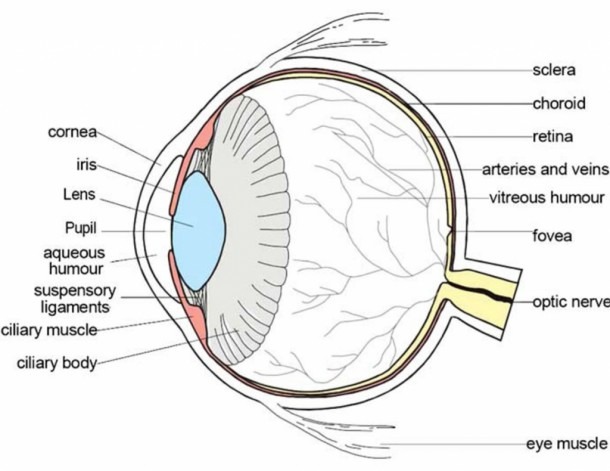 Labeled Eye Diagram