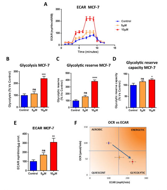 Atovaquone Treatment Increases Glycolysis In Mcf7 Breast Cancer