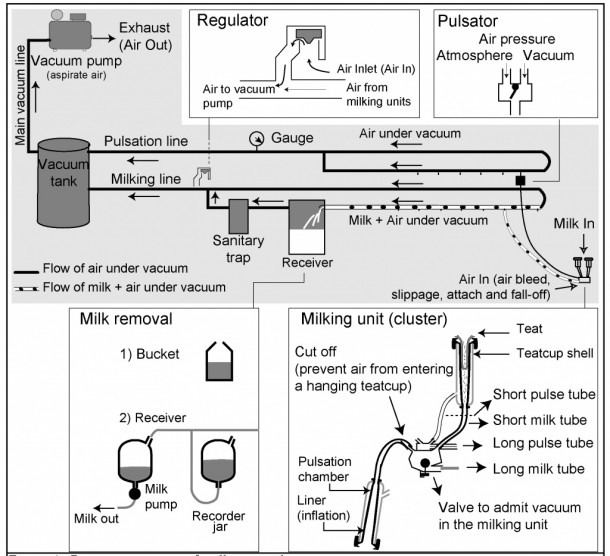 Diagram Of Milking Machine