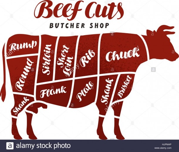 Beef Cuts  Animal Silhouette Cow, Bull  Vector Diagram For Butcher