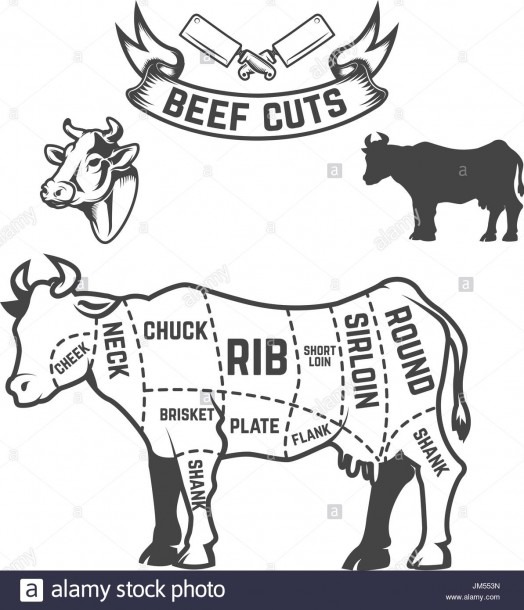 Diagram Of Cow