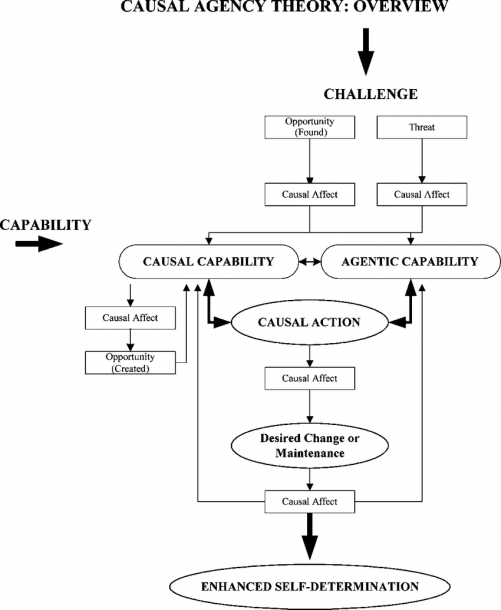 Causal Agency Theory  Overview (from Wehmeyer And Mithaug, 2002