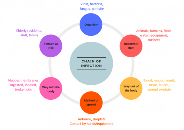 Chain Of Infection Diagram