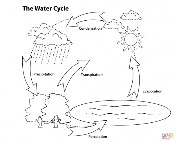 Coloring Pages ~ Remarkable Water Cycle Coloring Page Image Ideas