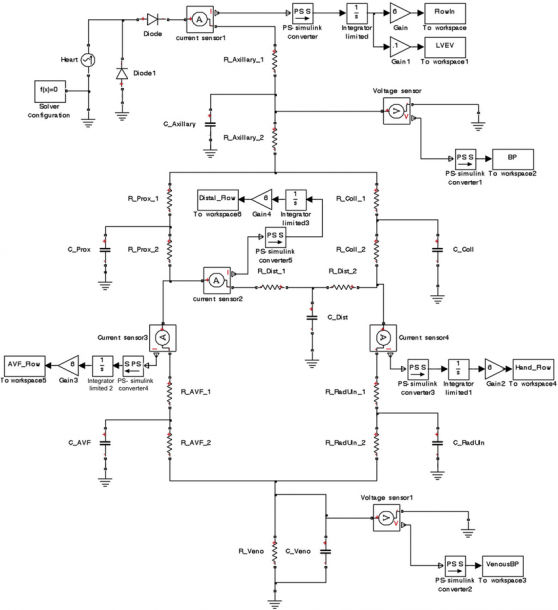 Complete Circuit Diagram Of The Upper Extremity Arteriovenous