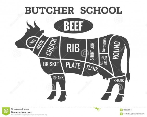 Cow Butcher Diagram Stock Vector  Illustration Of Meat