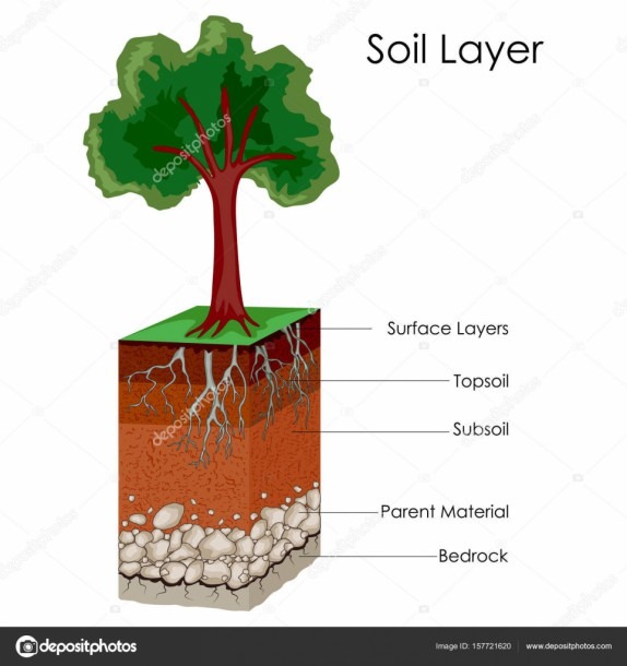 Education Chart Of Science For Layers Of Soil Diagram â Stock