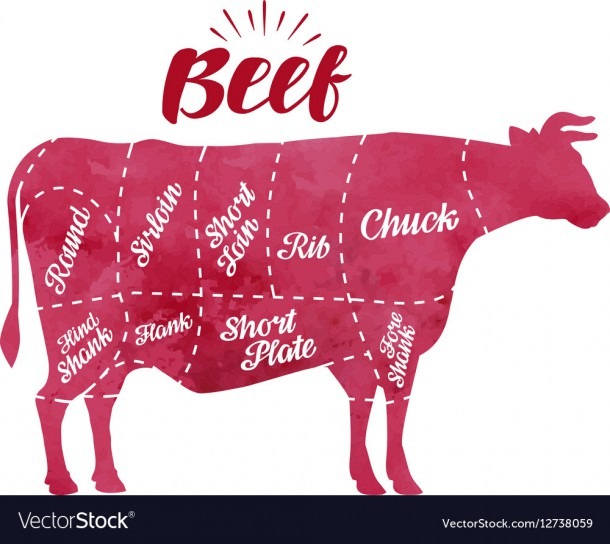 Beef Diagram