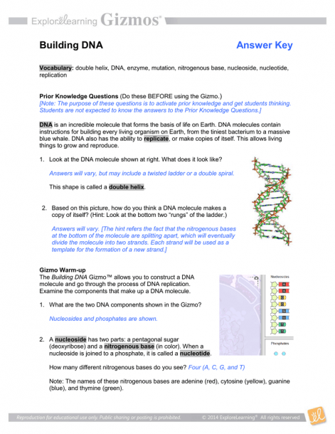 gizmos-hr-diagram-answer-key