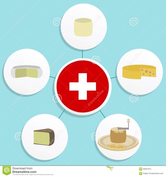 Five Swiss Cheese Stock Vector  Illustration Of Milk