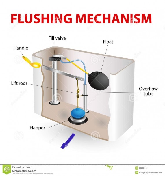 Flushing Mechanism Flush Toilet Stock Vector