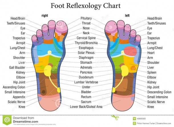 Foot Chart Stock Illustrations â 354 Foot Chart Stock