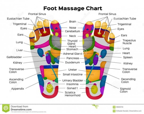 Foot Reflexology Chart With Description Of The Internal Organs And