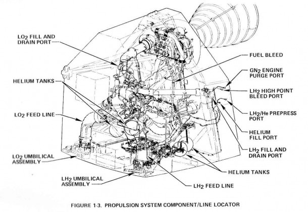 Frog Dissection Diagram Labeled